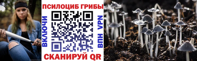 Псилоцибиновые грибы Psilocybine cubensis Рыльск